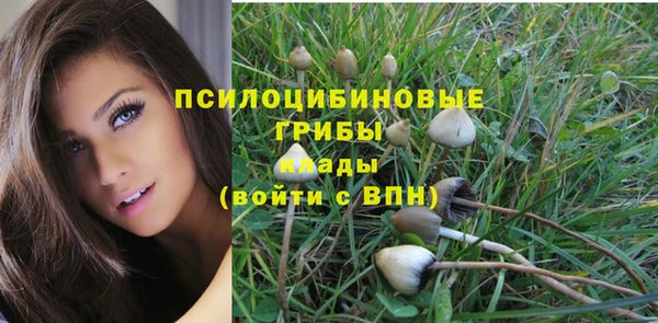экстази Алексин