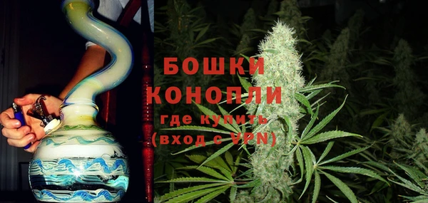 гидра Алексеевка