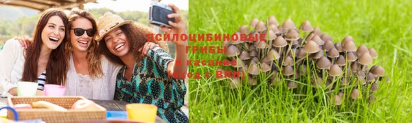гидра Алексеевка