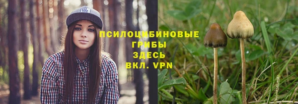 экстази Алексин