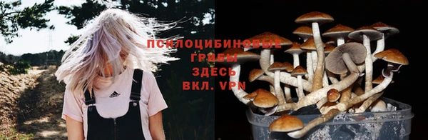 экстази Алексин